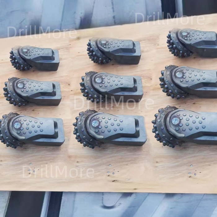 Replaceable roller bits